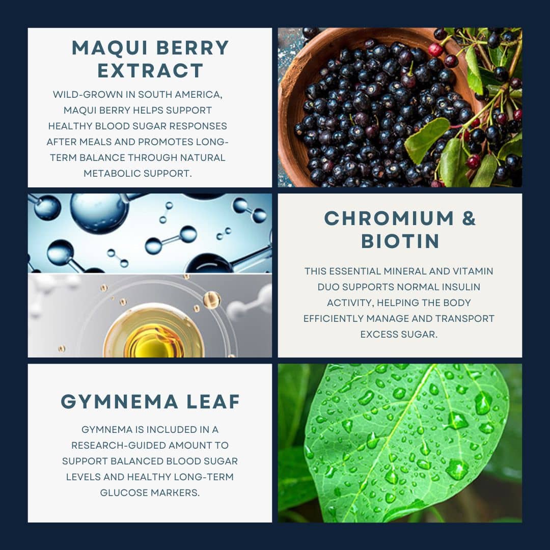 Key Research-Backed Ingredients in GlucoBerry™